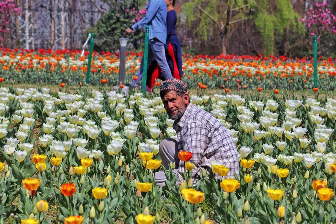 Manali
